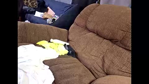 Snapshot of sissyboi124995 chatting on April 11, 2026, 7:51 pm sissyboi124995 online show from April 11, 2026, 7:51 pm