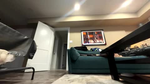 sissyinheelsbbc online show from November 9, 2025, 2:21 am