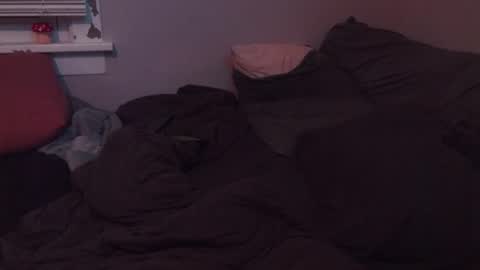 SisLIv online show from November 20, 2025, 7:19 am