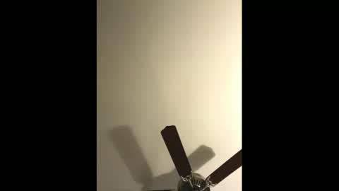 Snapshot of sissynovaholes chatting on January 4, 2025, 2:56 am sissynovaholes online show from January 4, 2025, 2:56 am