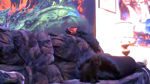 Snapshot of six_will_do chatting on January 4, 2025, 5:05 am Jimmy B online show from January 4, 2025, 5:05 am