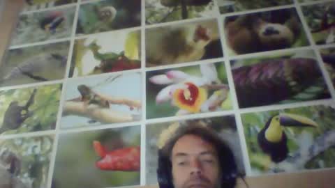 sji123 online show from February 22, 2025, 6:06 am