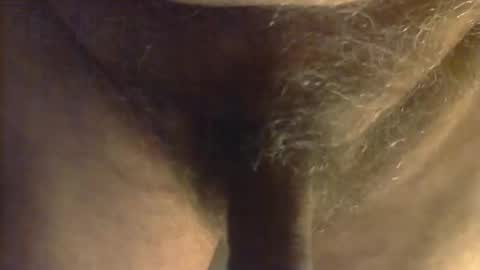 sjim368 online show from October 31, 2025, 12:28 pm