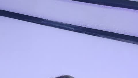 skinny_hottie18 online show from June 27, 2026, 11:48 am