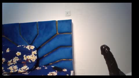 skinnyasssexyboobs online show from November 5, 2025, 4:29 pm