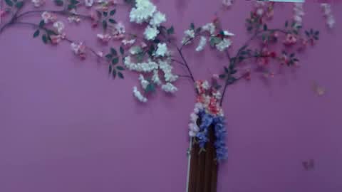 Snapshot of skinnybarbie022 chatting on December 2, 2025, 12:49 am barbi online show from December 2, 2025, 12:49 am