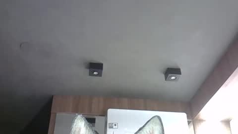 skinnykittencam online show from October 29, 2025, 7:21 am