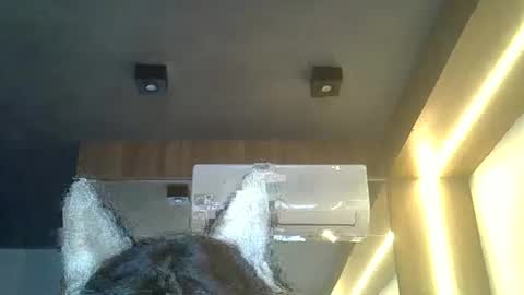 skinnykittencam online show from February 8, 2026, 8:23 pm