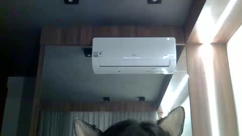 skinnykittencam online show from February 11, 2026, 2:49 am