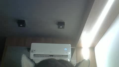 skinnykittencam online show from April 8, 2026, 12:38 pm