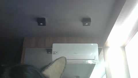 Snapshot of skinnykittencam chatting on May 4, 2026, 3:13 am skinnykittencam online show from May 4, 2026, 3:13 am