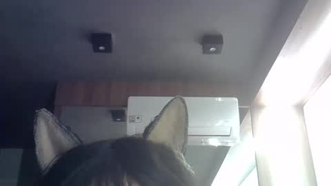 Snapshot of skinnykittencam chatting on May 21, 2026, 9:16 am skinnykittencam online show from May 21, 2026, 9:16 am