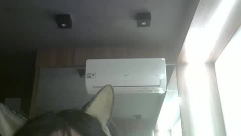Snapshot of skinnykittencam chatting on May 26, 2026, 11:01 pm skinnykittencam online show from May 26, 2026, 11:01 pm