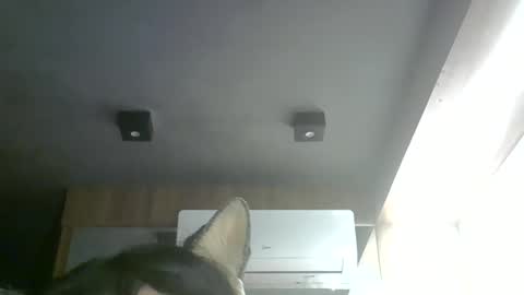 Snapshot of skinnykittencam chatting on May 28, 2026, 6:38 pm skinnykittencam online show from May 28, 2026, 6:38 pm