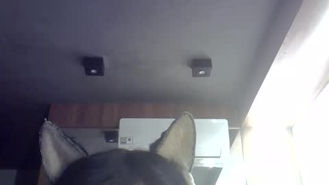 Snapshot of skinnykittencam chatting on May 29, 2026, 9:29 am skinnykittencam online show from May 29, 2026, 9:29 am