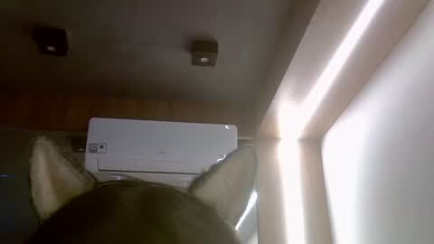 Snapshot of skinnykittencam chatting on July 16, 2026, 5:52 pm skinnykittencam online show from July 16, 2026, 5:52 pm