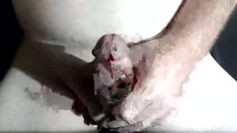 Snapshot of slash1710 chatting on February 4, 2026, 8:47 pm Z online show from February 4, 2026, 8:47 pm