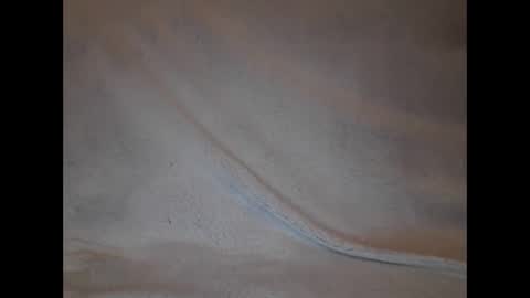 Snapshot of slava12345679 chatting on February 4, 2025, 9:10 pm Alisa online show from February 4, 2025, 9:10 pm