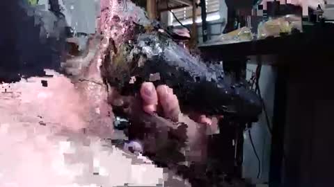 sliderguy699 online show from December 15, 2024, 4:59 pm