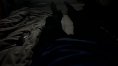 slimboy6900 online show from February 23, 2026, 1:36 am