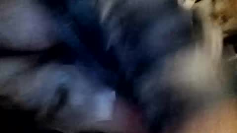 slutbreeze101 online show from February 23, 2026, 3:59 am