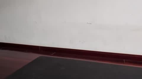 slutfactor online show from March 31, 2026, 6:36 am