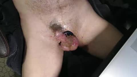 slyfast1 online show from April 3, 2026, 4:43 am