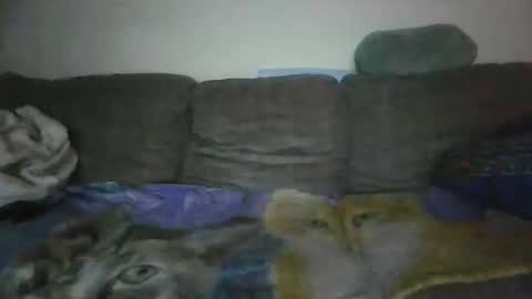 Snapshot of smaug6606 chatting on November 24, 2025, 6:46 am smaug6606 online show from November 24, 2025, 6:46 am