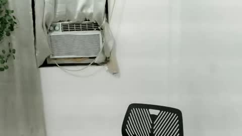 Julia online show from November 25, 2025, 1:22 pm