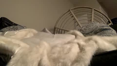 Smoke4Daddy online show from October 2, 2025, 12:56 pm