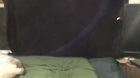 Snapshot of snowsurfer2 chatting on November 1, 2025, 1:51 am Riley Ray online show from November 1, 2025, 1:51 am