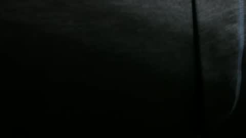 Snapshot of snuffalufagus chatting on December 20, 2024, 6:35 pm Adam online show from December 20, 2024, 6:35 pm