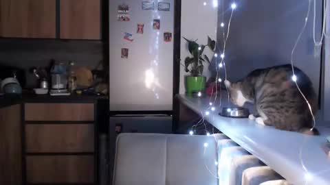 Snapshot of sofi_delightful chatting on January 19, 2025, 10:39 pm Sofi online show from January 19, 2025, 10:39 pm