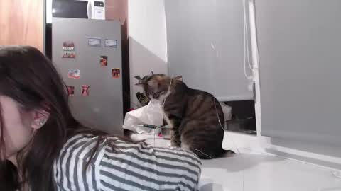 Snapshot of sofi_delightful chatting on February 11, 2025, 7:38 pm Sofi online show from February 11, 2025, 7:38 pm