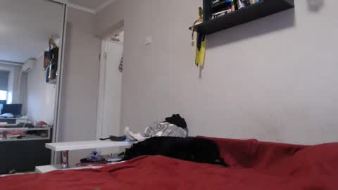 Snapshot of sofi_delightful chatting on November 11, 2025, 12:27 pm Sofi online show from November 11, 2025, 12:27 pm