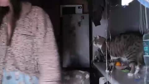 Snapshot of sofi_delightful chatting on December 14, 2025, 8:02 pm Sofi online show from December 14, 2025, 8:02 pm