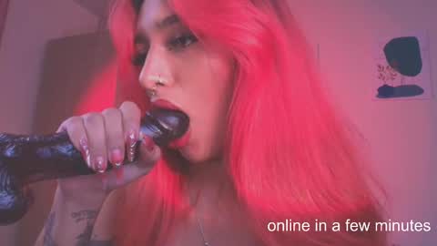 Snapshot of sofiaafoxx chatting on February 1, 2026, 11:14 pm Sofia online show from February 1, 2026, 11:14 pm