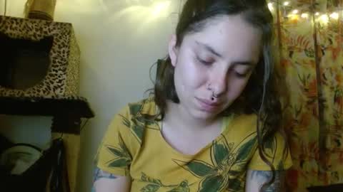 Sofia online show from November 24, 2025, 3:06 am