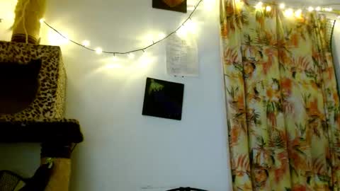 Sofia online show from February 19, 2026, 3:46 am