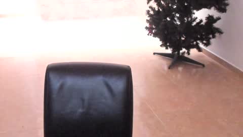 sophia CM online show from December 14, 2024, 1:38 pm