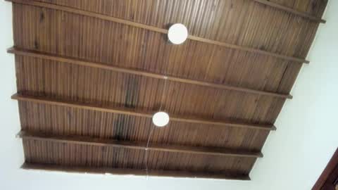 sophie_smith19 online show from December 22, 2025, 1:19 pm