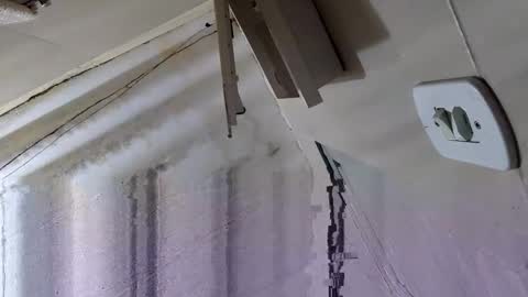 souzabig online show from September 14, 2025, 3:16 am