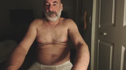 Snapshot of soyelpoti79 chatting on December 28, 2024, 6:17 am WhiteWolfFL online show from December 28, 2024, 6:17 am