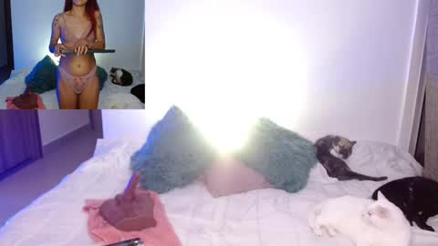      online show from February 23, 2026, 11:46 pm