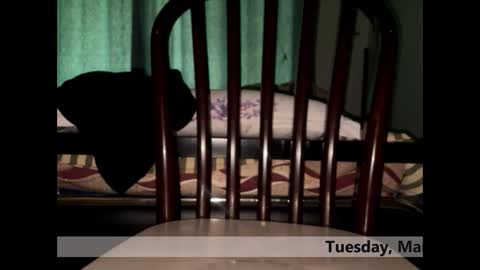 space Dog25 online show from March 3, 2026, 5:24 am