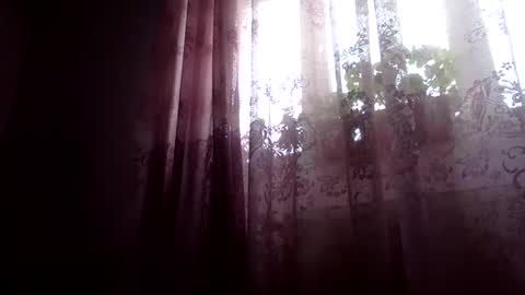 Snaiky online show from February 5, 2025, 11:23 am