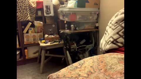 spermdoner23 online show from November 10, 2025, 1:32 pm