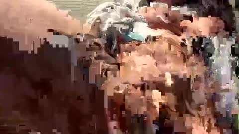 Sammi online show from December 16, 2024, 7:32 pm