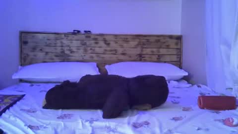 Splasher online show from October 25, 2025, 11:29 am