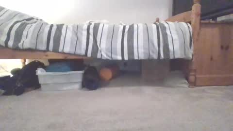 Snapshot of sportyguy283 chatting on March 4, 2025, 10:05 pm Sportyguy283 online show from March 4, 2025, 10:05 pm